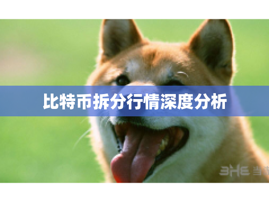 比特币拆分行情深度分析 比特币拆分行情深度分析