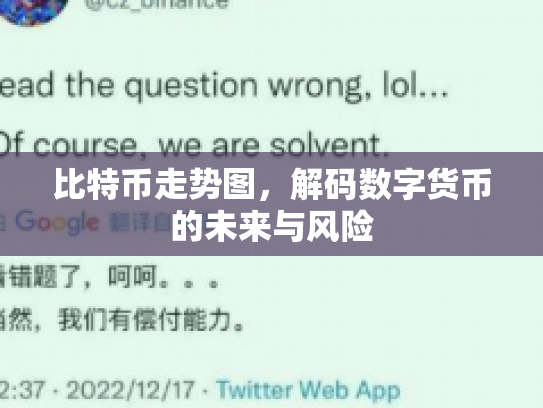 比特币走势图,解码数字货币的未来与风险 比特币走势图,解码数字货币的未来与风险