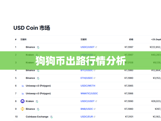 狗狗币出路行情分析 狗狗币出路行情分析