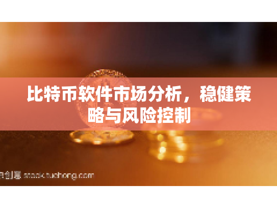 比特币软件市场分析,稳健策略与风险控制 比特币软件市场分析,稳健策略与风险控制