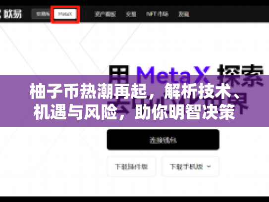 柚子币热潮再起,解析技术、机遇与风险,助你明智决策 柚子币热潮再起,解析技术、机遇与风险,助你明智决策