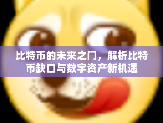 比特币的未来之门,解析比特币缺口与数字资产新机遇 比特币的未来之门,解析比特币缺口与数字资产新机遇