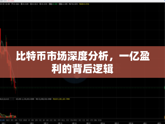 比特币市场深度分析，一亿盈利的背后逻辑