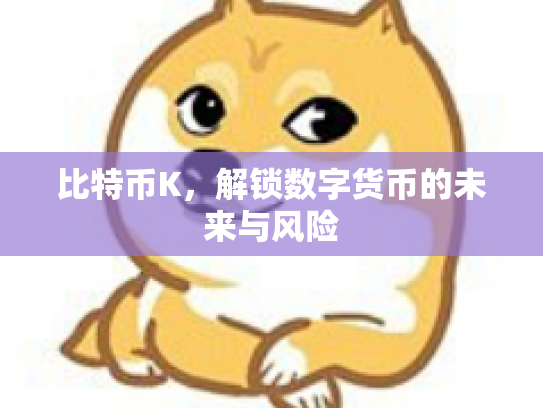 比特币K,解锁数字货币的未来与风险 比特币K,解锁数字货币的未来与风险
