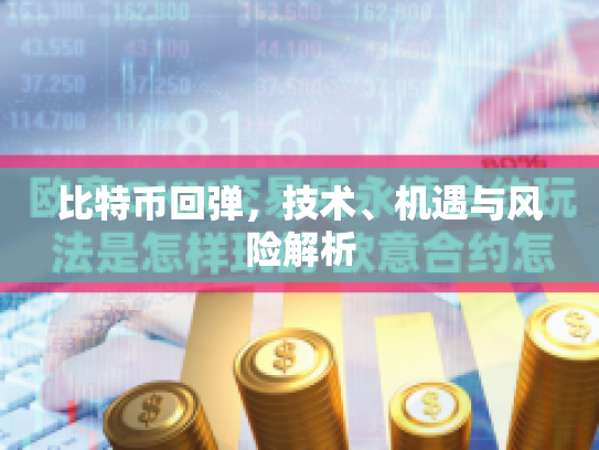比特币回弹，技术、机遇与风险解析