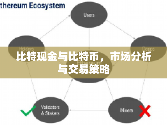 比特现金与比特币，市场分析与交易策略