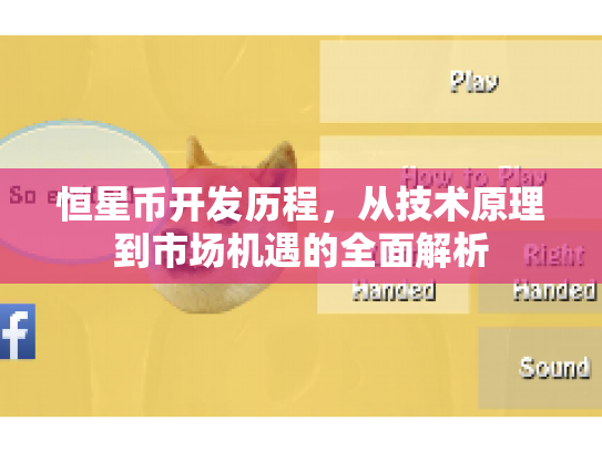 恒星币开发历程，从技术原理到市场机遇的全面解析