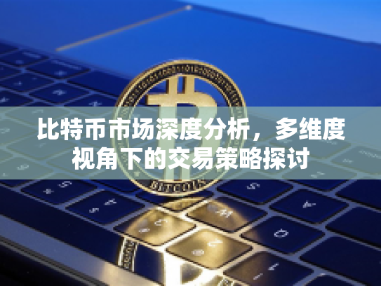 比特币市场深度分析,多维度视角下的交易策略探讨 比特币市场深度分析,多维度视角下的交易策略探讨