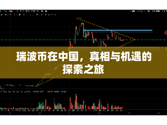 瑞波币在中国，真相与机遇的探索之旅