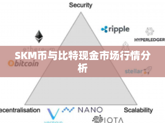 SKM币与比特现金市场行情分析 SKM币与比特现金市场行情分析