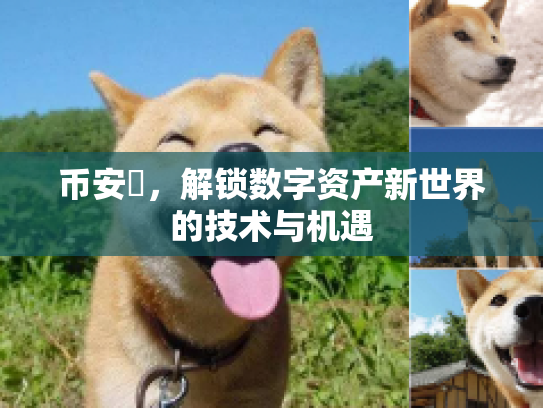 币安帀,解锁数字资产新世界的技术与机遇 币安帀,解锁数字资产新世界的技术与机遇