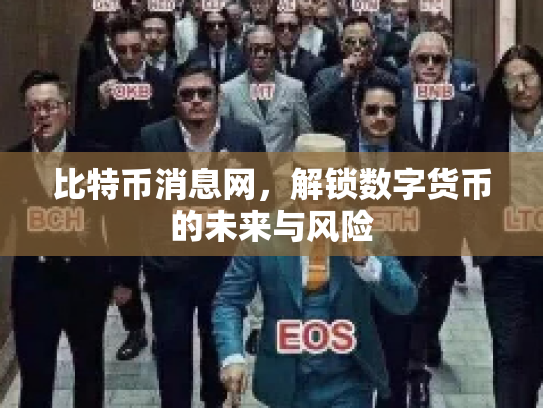 比特币消息网,解锁数字货币的未来与风险 比特币消息网,解锁数字货币的未来与风险