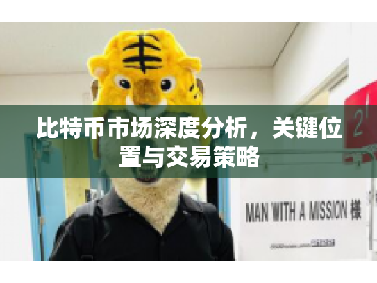 比特币市场深度分析,关键位置与交易策略 比特币市场深度分析,关键位置与交易策略