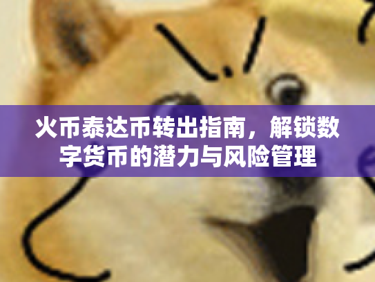 火币泰达币转出指南,解锁数字货币的潜力与风险管理 火币泰达币转出指南,解锁数字货币的潜力与风险管理