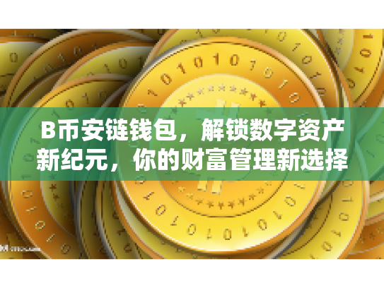 B币安链钱包，解锁数字资产新纪元，你的财富管理新选择