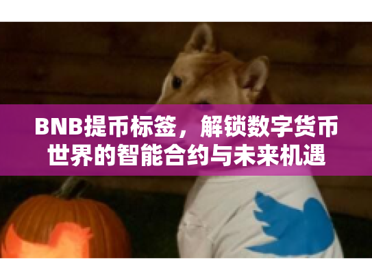 BNB提币标签，解锁数字货币世界的智能合约与未来机遇
