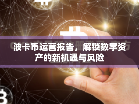 波卡币运营报告，解锁数字资产的新机遇与风险