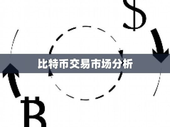 比特币交易市场分析