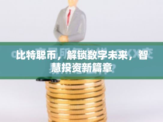 比特聪币,解锁数字未来,智慧投资新篇章 比特聪币,解锁数字未来,智慧投资新篇章