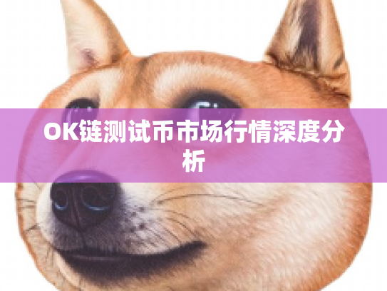 OK链测试币市场行情深度分析 OK链测试币市场行情深度分析