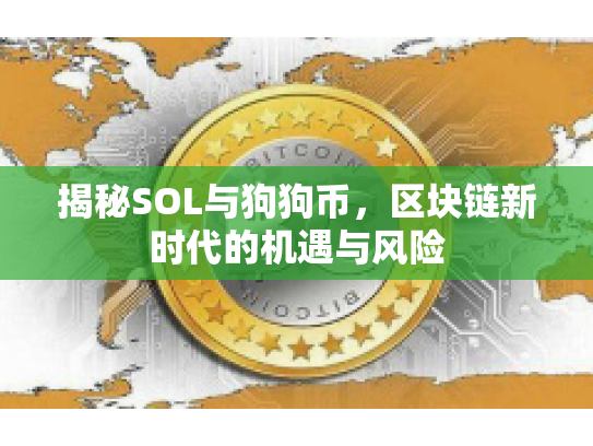 揭秘SOL与狗狗币,区块链新时代的机遇与风险 揭秘SOL与狗狗币,区块链新时代的机遇与风险