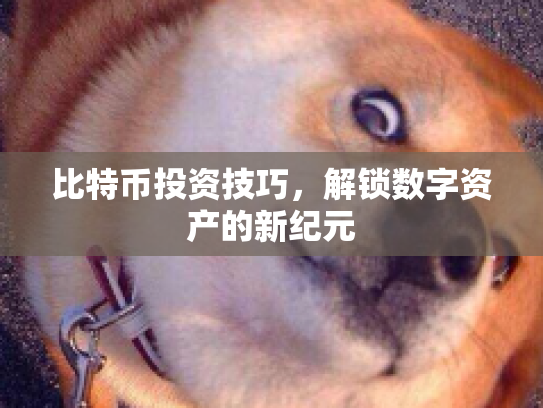 比特币投资技巧,解锁数字资产的新纪元 比特币投资技巧,解锁数字资产的新纪元