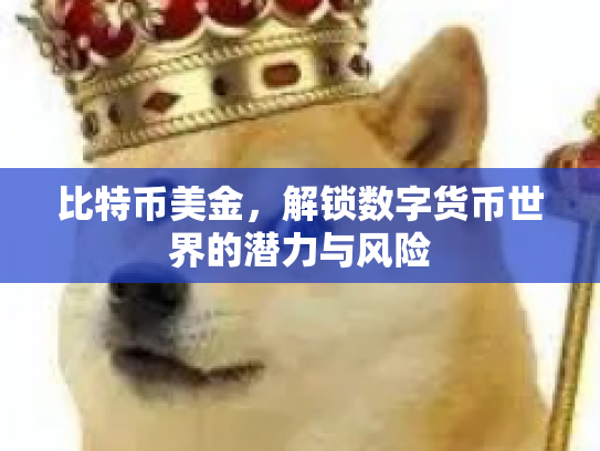比特币美金，解锁数字货币世界的潜力与风险