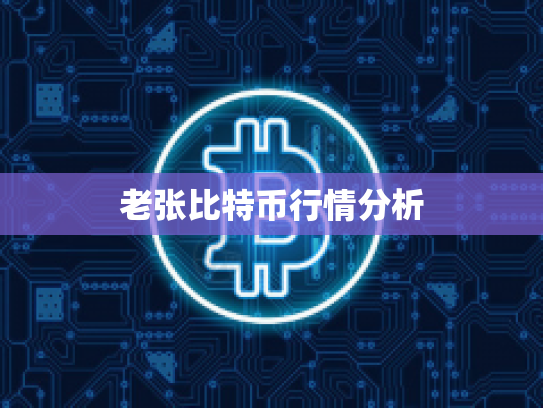 老张比特币行情分析 老张比特币行情分析