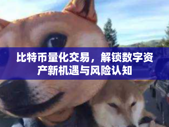 比特币量化交易，解锁数字资产新机遇与风险认知