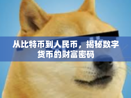 从比特币到人民币，揭秘数字货币的财富密码