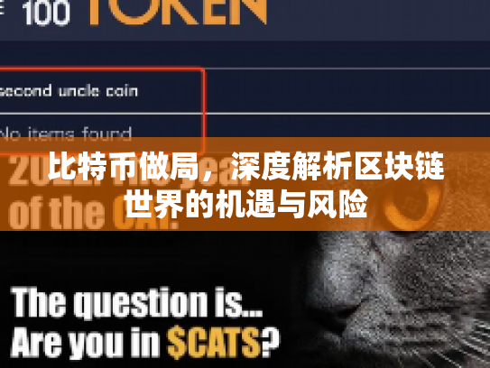 比特币做局，深度解析区块链世界的机遇与风险