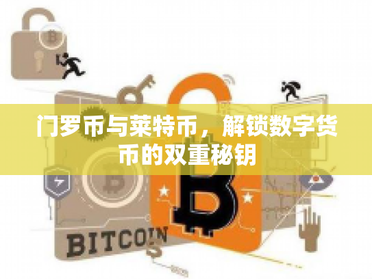 门罗币与莱特币，解锁数字货币的双重秘钥