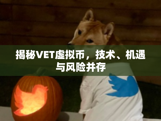 揭秘VET虚拟币，技术、机遇与风险并存