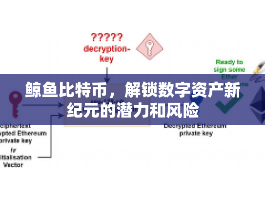 鲸鱼比特币，解锁数字资产新纪元的潜力和风险