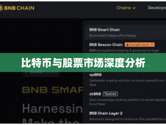 比特币与股票市场深度分析