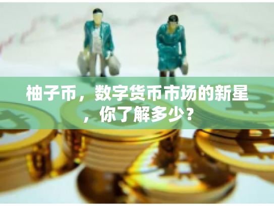 柚子币，数字货币市场的新星，你了解多少？