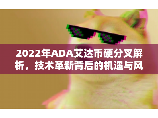 2022年ADA艾达币硬分叉解析，技术革新背后的机遇与风险