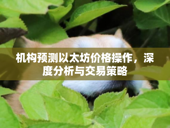 机构预测以太坊价格操作，深度分析与交易策略