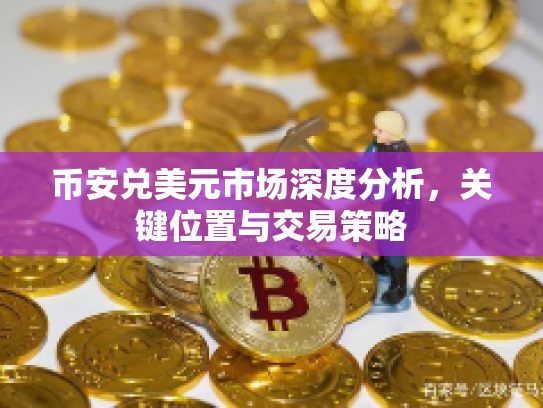 币安兑美元市场深度分析，关键位置与交易策略