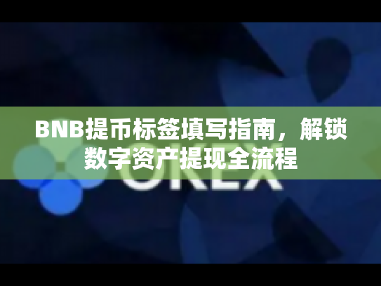 BNB提币标签填写指南，解锁数字资产提现全流程