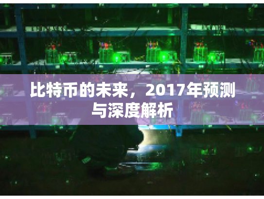 比特币的未来，2017年预测与深度解析