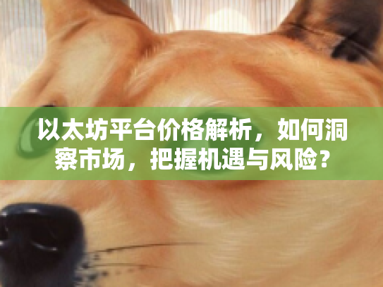 以太坊平台价格解析，如何洞察市场，把握机遇与风险？