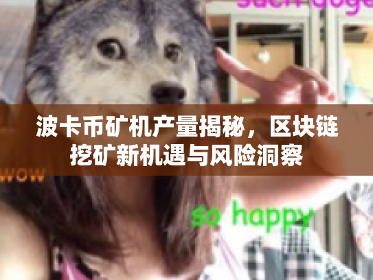 波卡币矿机产量揭秘，区块链挖矿新机遇与风险洞察