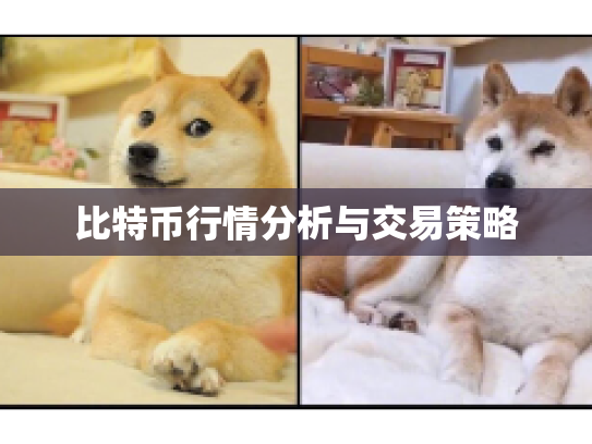 比特币行情分析与交易策略 比特币行情分析与交易策略