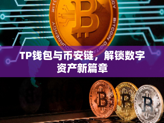 TP钱包与币安链，解锁数字资产新篇章