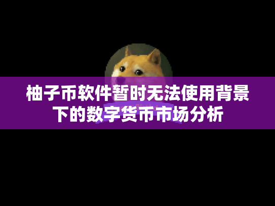 柚子币软件暂时无法使用背景下的数字货币市场分析 柚子币软件暂时无法使用背景下的数字货币市场分析