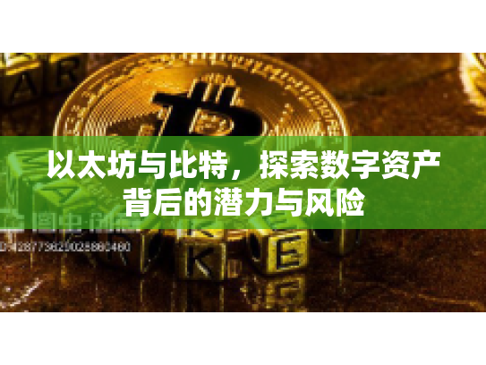 以太坊与比特，探索数字资产背后的潜力与风险