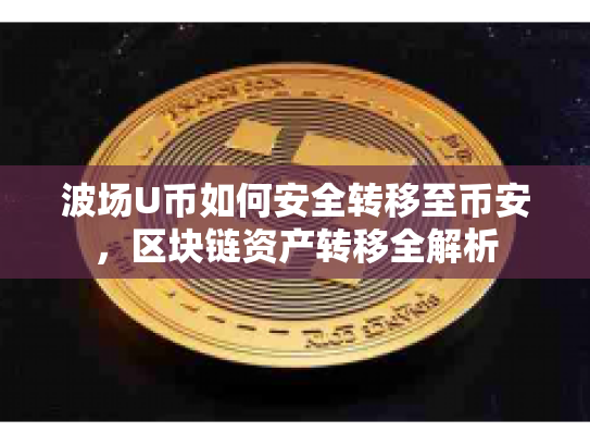 波场U币如何安全转移至币安，区块链资产转移全解析