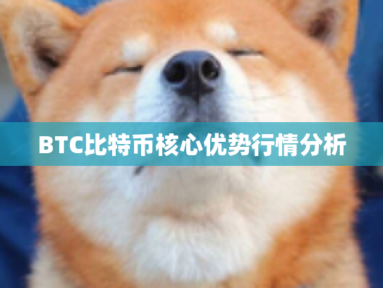 BTC比特币核心优势行情分析