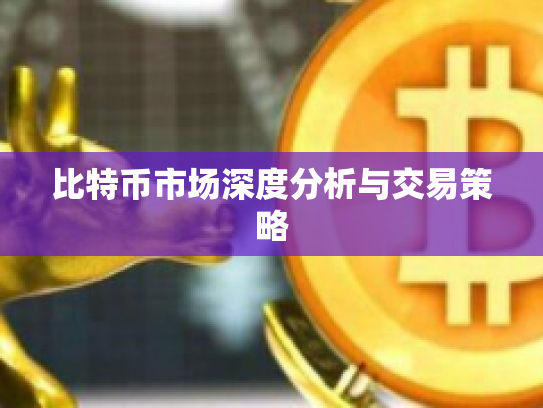 比特币市场深度分析与交易策略